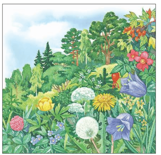 Задание рисунок 1