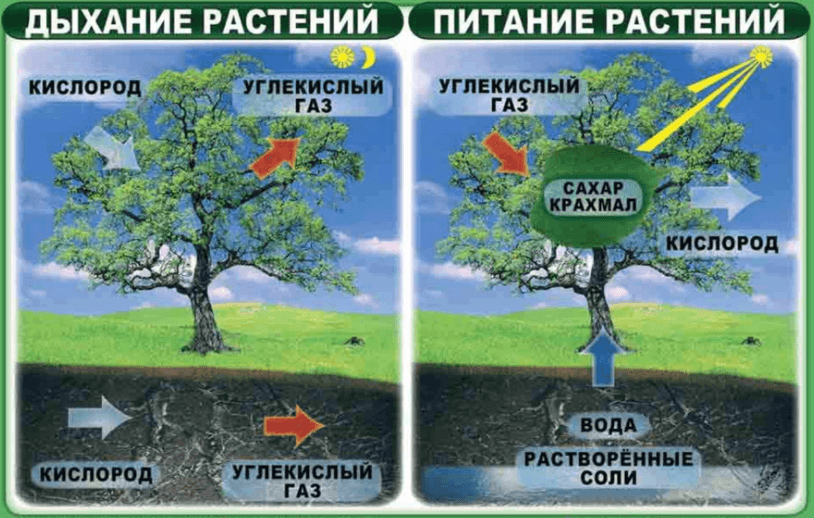 Решение рисунок 1