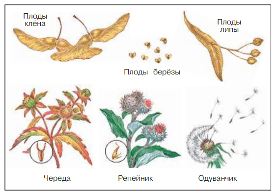 Задание рисунок 1
