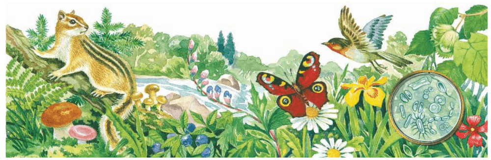 Задание рисунок 1