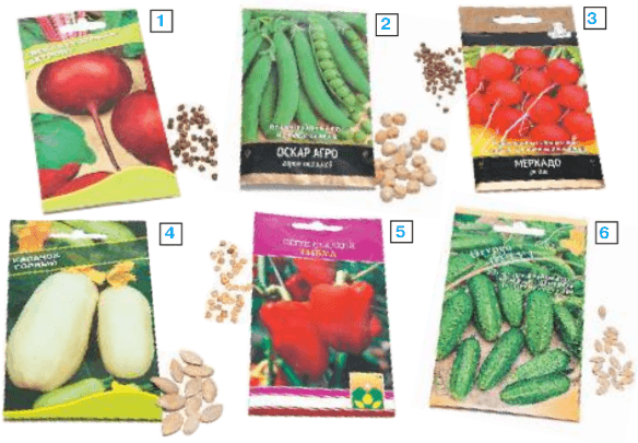 Задание рисунок 1