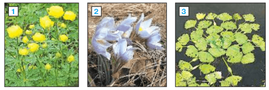 Задание рисунок 1