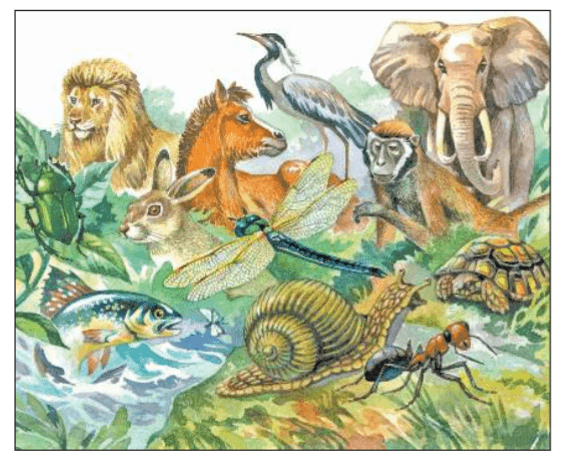 Задание рисунок 1