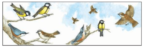 Задание рисунок 1