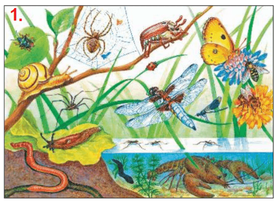 Решение рисунок 1