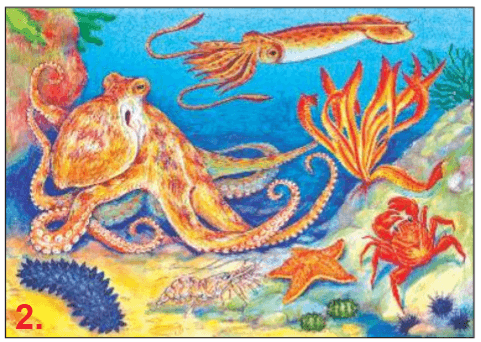 Решение рисунок 2