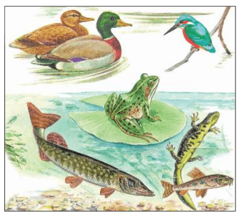 Задание рисунок 3