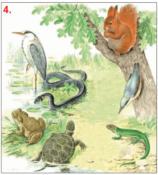 Решение рисунок 4