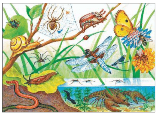 Задание рисунок 1