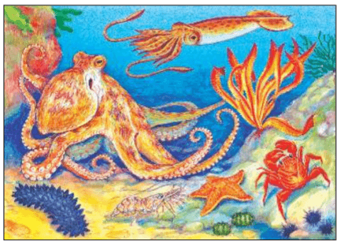 Задание рисунок 2