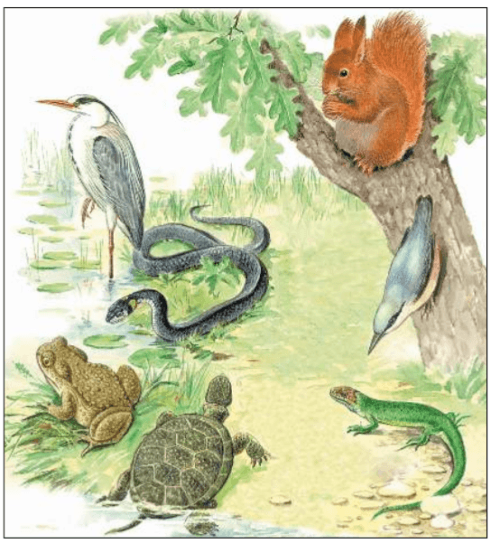 Задание рисунок 4