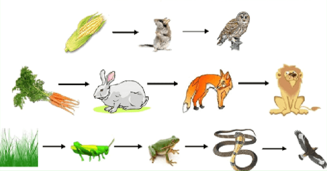 Решение рисунок 1