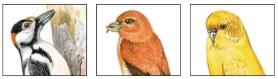 Задание рисунок 1