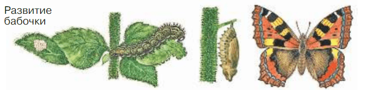 Решение рисунок 1