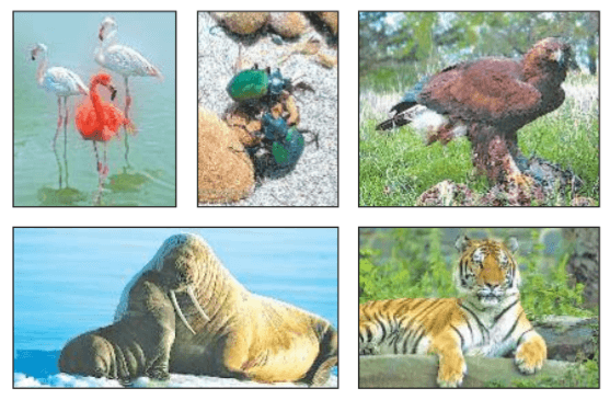 Задание рисунок 1