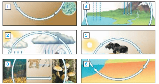 Задание рисунок 1