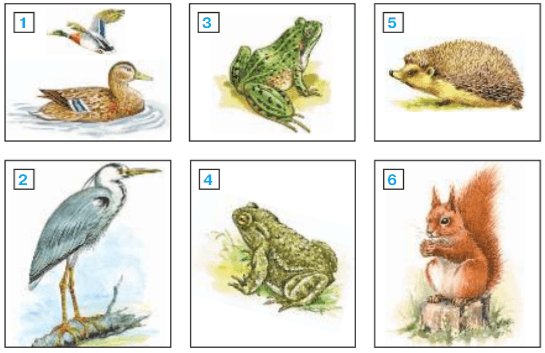 Задание рисунок 1