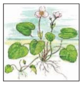 Задание рисунок 1