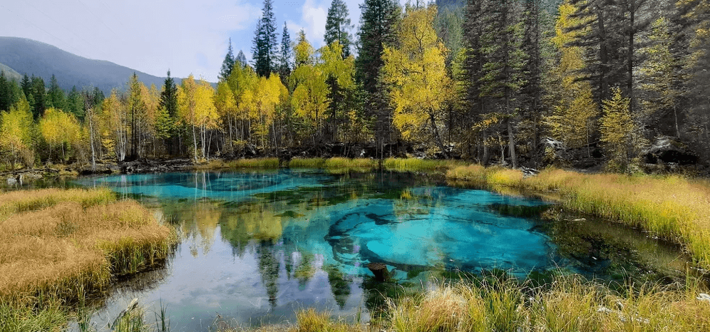 Решение рисунок 5