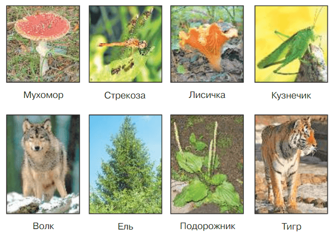 Задание рисунок 1