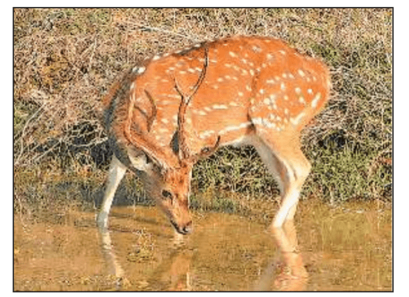 Задание рисунок 1