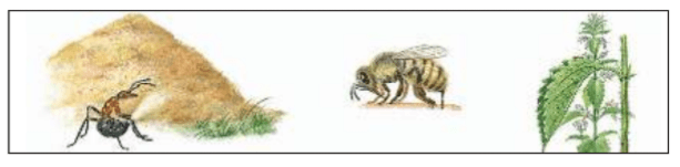 Задание рисунок 1