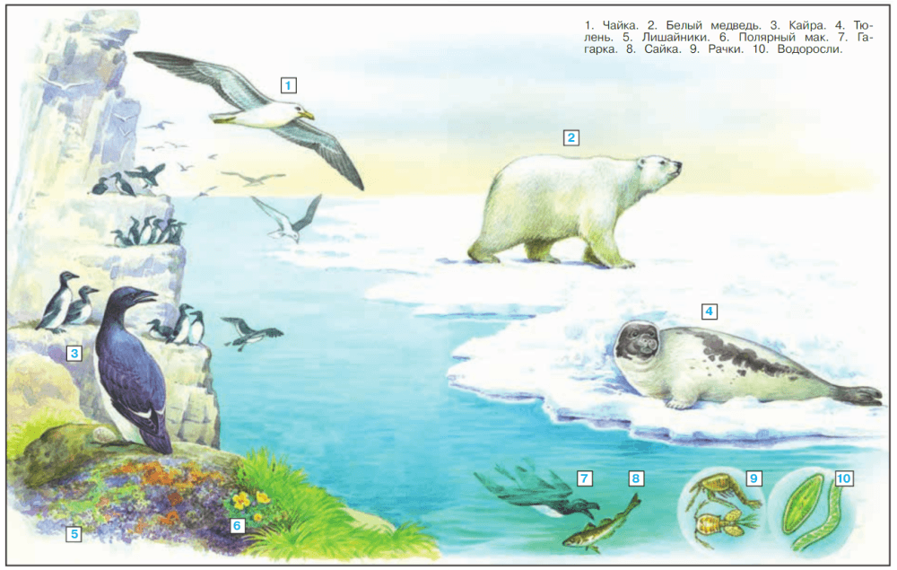 Задание рисунок 1