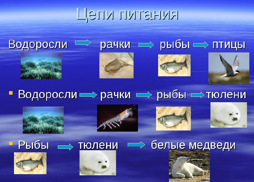 Решение рисунок 1