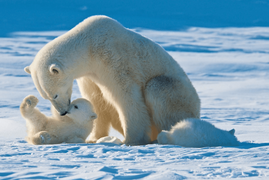 Решение рисунок 1