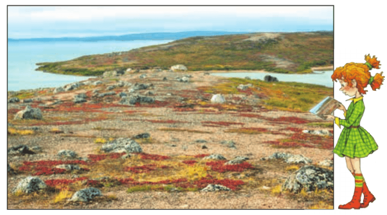 Задание рисунок 1