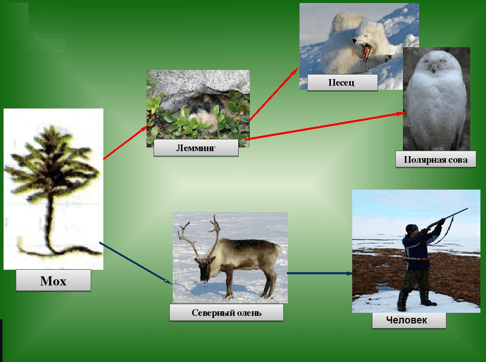 Решение рисунок 2