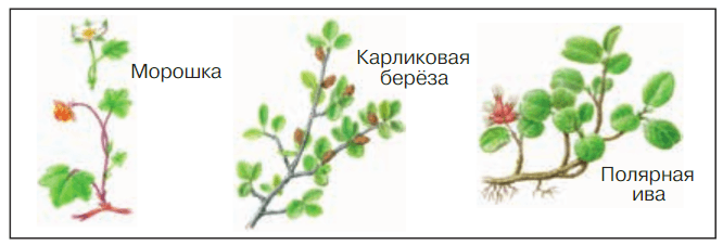 Задание рисунок 1