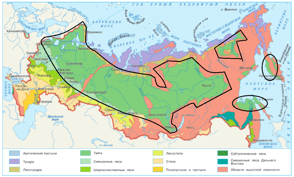 Решение рисунок 1