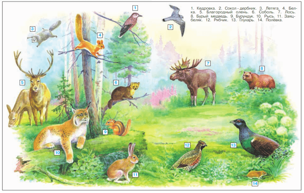 Задание рисунок 1