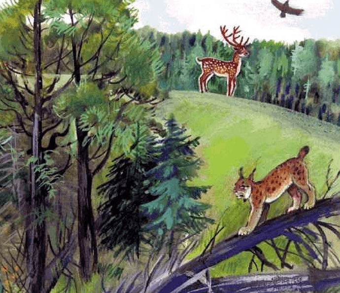 Решение рисунок 1