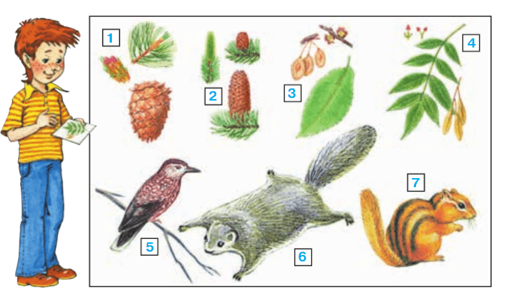 Задание рисунок 1