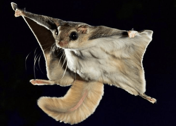 Решение рисунок 1