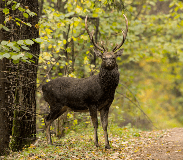 Решение рисунок 1