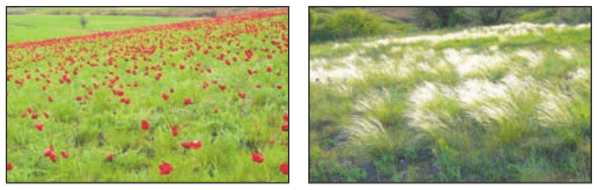 Задание рисунок 1