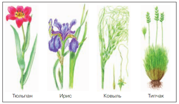 Задание рисунок 1