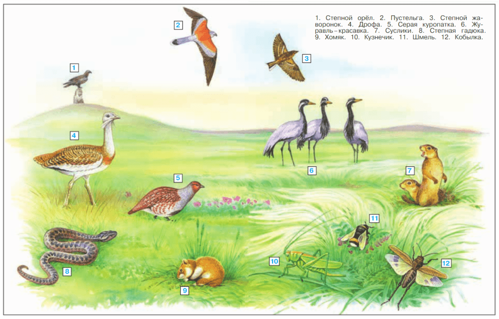 Решение рисунок 1