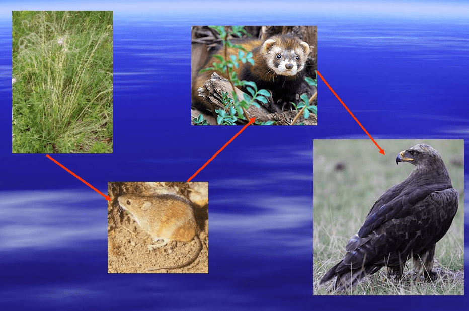 Решение рисунок 2