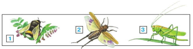 Задание рисунок 1