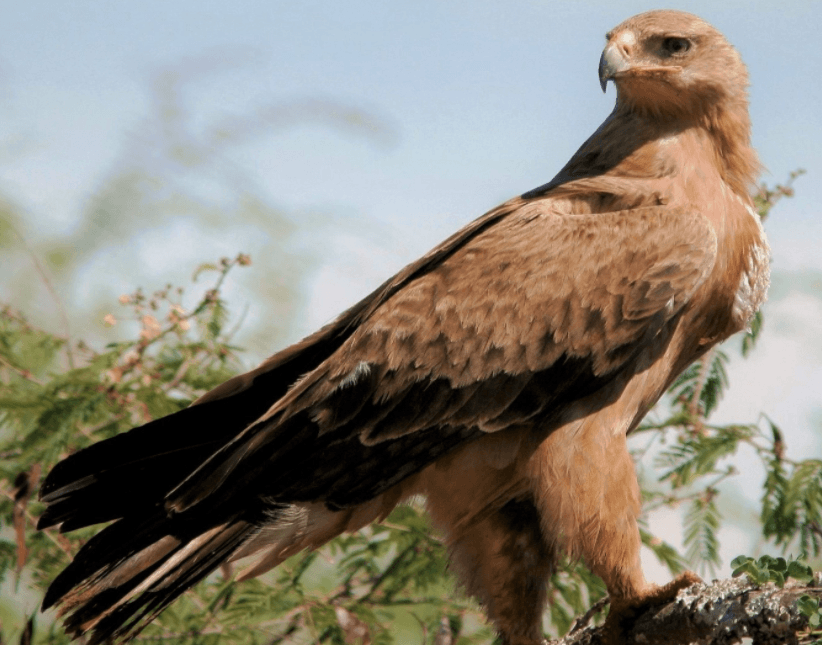 Решение рисунок 1