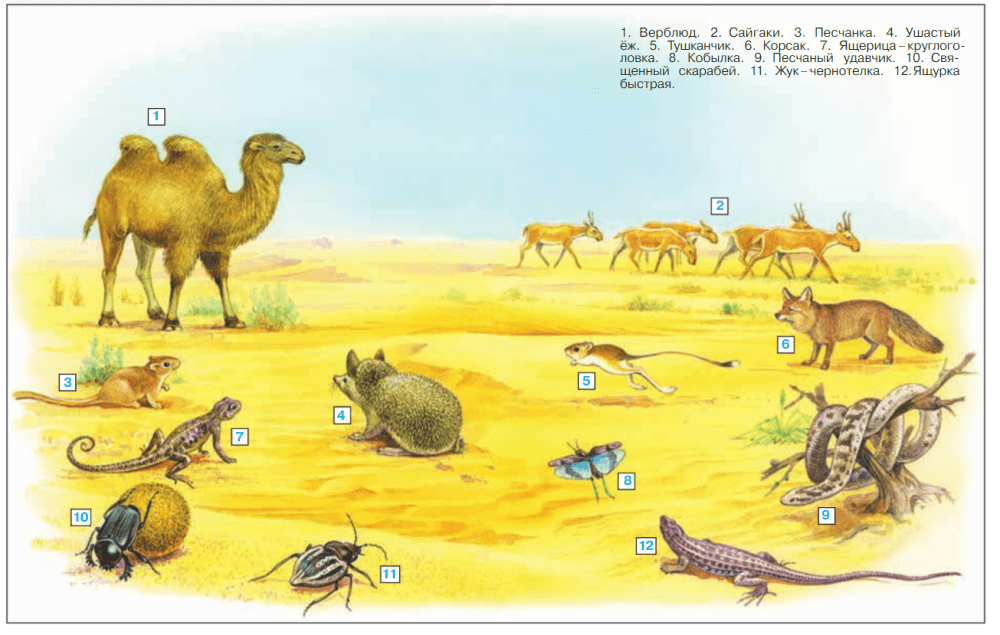 Решение рисунок 1