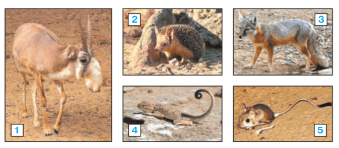 Задание рисунок 1