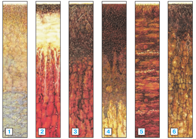 Задание рисунок 1