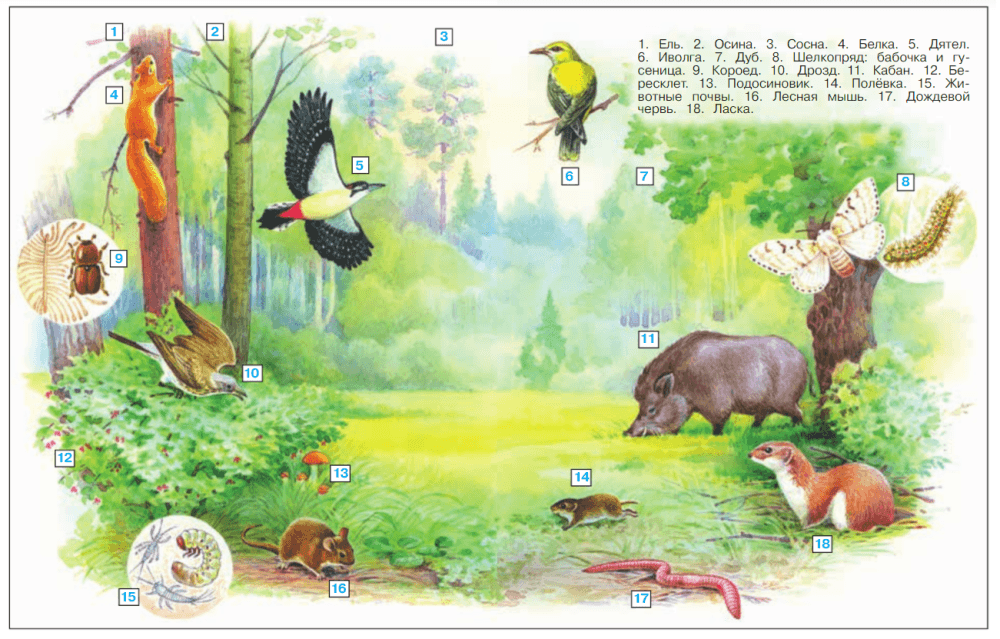 Решение рисунок 2