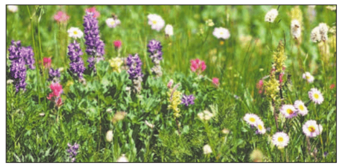 Задание рисунок 1