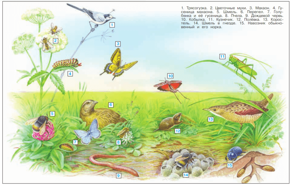 Решение рисунок 1